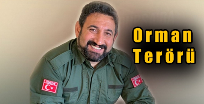 Orman Terörü