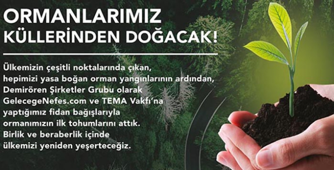 Ormanlarımız küllerinden doğacak