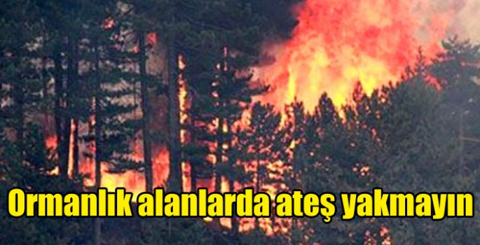 Ormanlık alanlarda ateş yakmayın