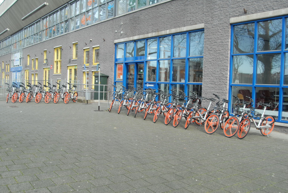 Rotterdam Belediyesinden Bisiklet Projesi