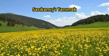 Sarıkamış’ı Tanımak ( 1)