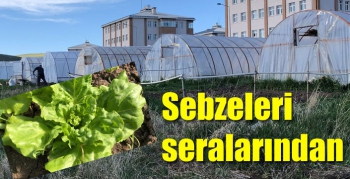 Sebzeleri seralarından