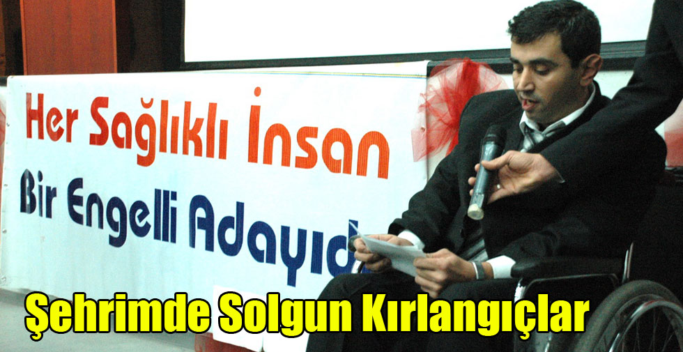 Şehrimde Solgun Kırlangıçlar