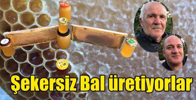 Şekersiz Bal üretiyorlar