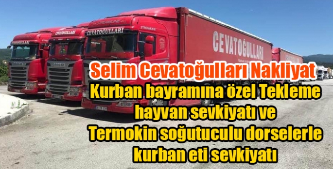 Selim Cevatoğulları Nakliyattan Kurban bayramına özel Tekleme hayvan sevkiyatı ve Termokin soğutuculu dorselerle kurban eti sevkiyatı