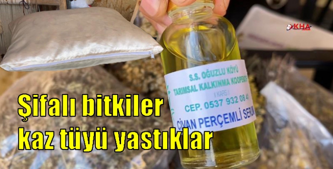 Şifalı bitkiler kaz tüyü yastıklar