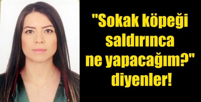 ''Sokak köpeği saldırınca ne yapacağım?'' diyenler!