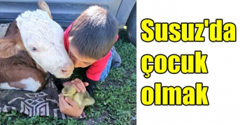 Susuz'da çocuk olmak