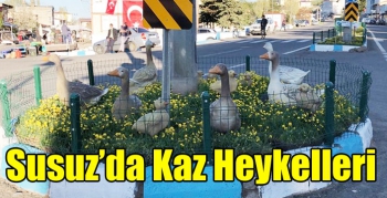 Susuz’da Kaz Heykelleri