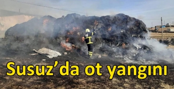 Susuz’da ot yangını