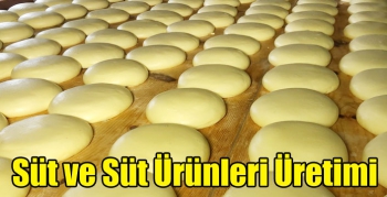 Süt ve Süt Ürünleri Üretimi