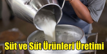 Süt ve Süt Ürünleri Üretimi