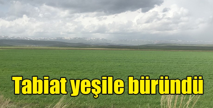 Tabiat yeşile büründü