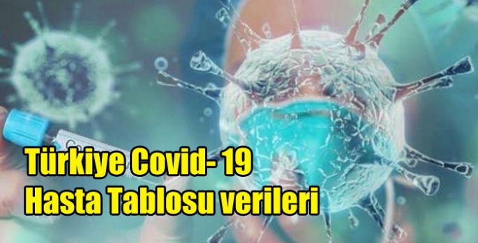 Türkiye Covid- 19 Hasta Tablosu verileri
