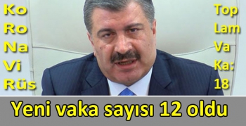 Türkiye’de koronavirüs vaka sayısı 12 oldu