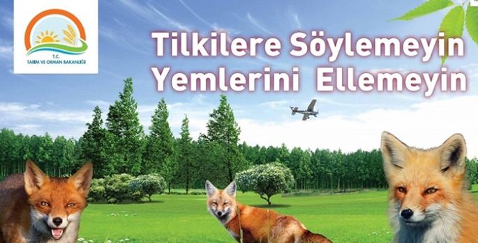 Türkiye'de Kuduz Hastalığına Karşı Oral Aşı Atım Çalışmaları