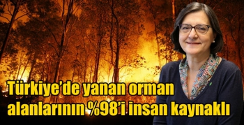 Türkiye’de yanan orman alanlarının %98’i insan kaynaklı