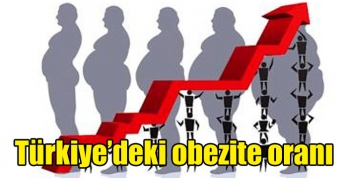 Türkiye’deki obezite oranı