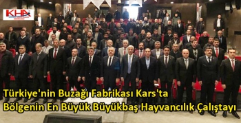 Türkiye'nin Buzağı Fabrikası Kars'ta Bölgenin En Büyük Büyükbaş Hayvancılık Çalıştayı