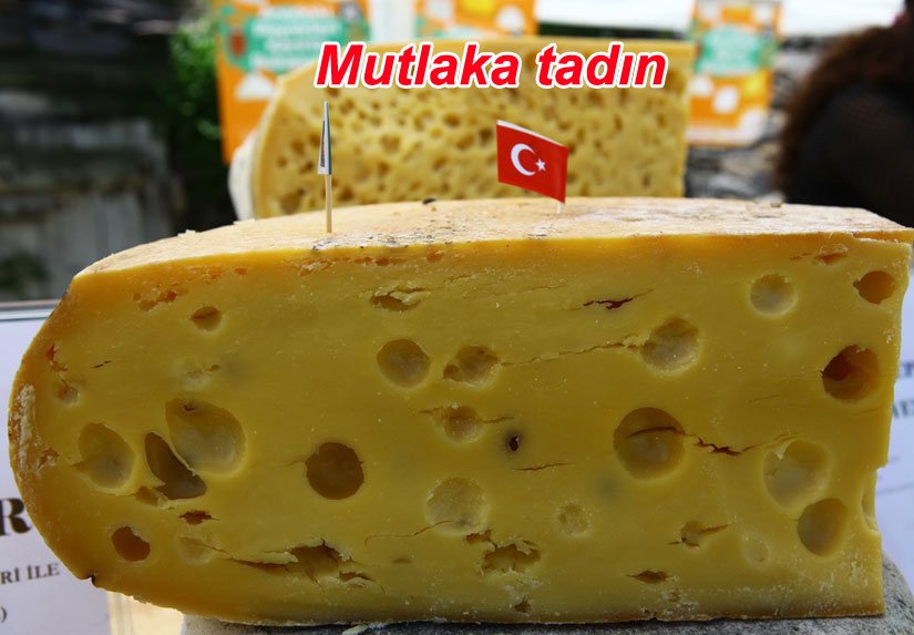 Türkiye’nin yöresel peynirleri Kars’ta buluşuyor