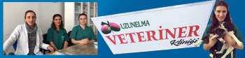 UzunElma Veteriner Kliniği