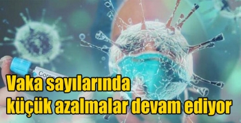 Vaka sayılarında küçük azalmalar devam ediyor