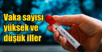 Vaka sayısı yüksek ve düşük iller