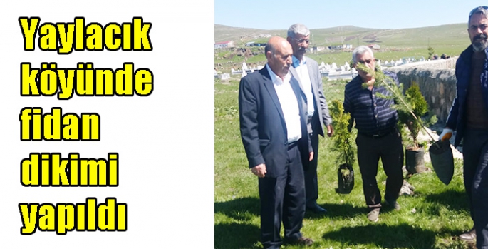 Yaylacık köyünde fidan dikimi yapıldı