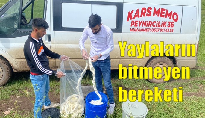 Yaylaların bitmeyen bereketi