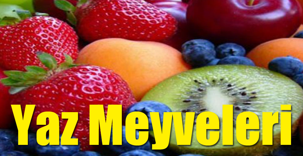 Yaz Meyveleri