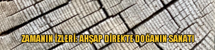 Zamanın İzleri: Ahşap Direkte Doğanın Sanatı